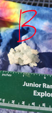 Load image into Gallery viewer, B